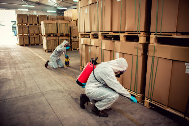 Best Wasp Removal Services  in Geistown, PA