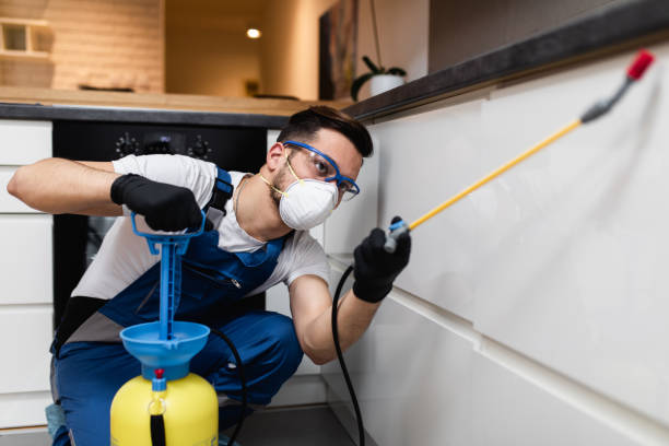 Best Rat Extermination Near Me  in Geistown, PA