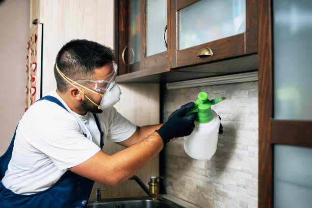 Best Pest Prevention Services  in Geistown, PA