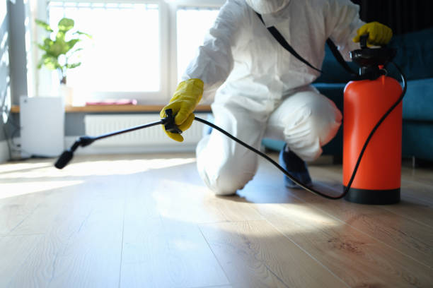 Flea Control Services in Geistown, PA