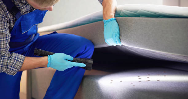 Best Best Pest Control Companies  in Geistown, PA