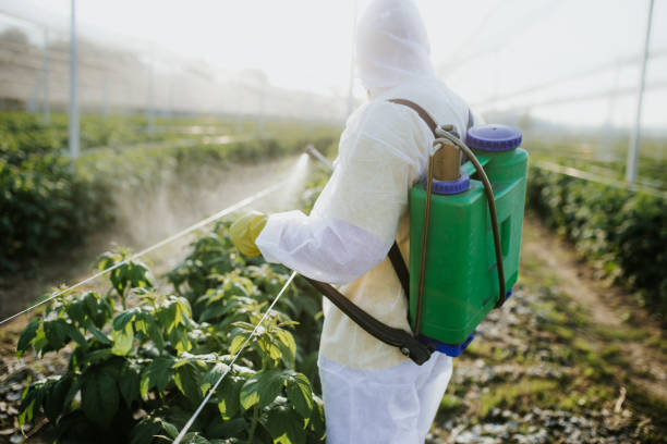 Best Pest Prevention Services  in Geistown, PA